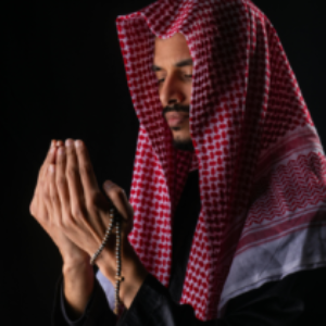 Profile photo of amin
