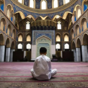 Profile photo of ahmednajjar