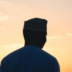 Profile photo of amir